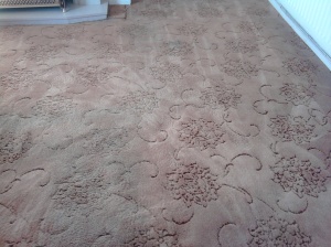 solihull carpet cleaners